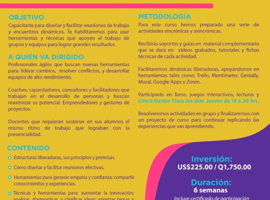 TÉCNICAS Y HERRAMIENTAS PARA FACILITACIÓN DE EQUIPOS