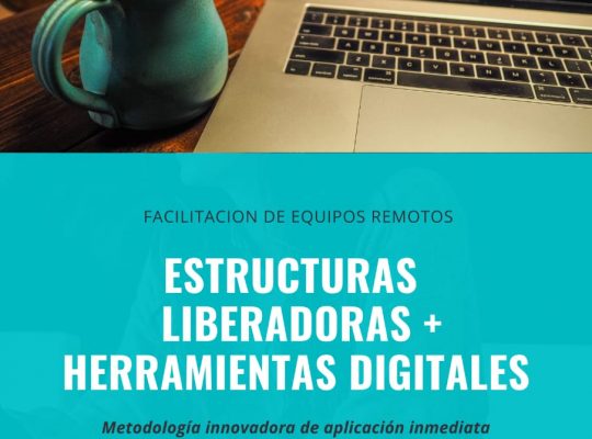 FACILITACION DE EQUIPOS REMOTOS